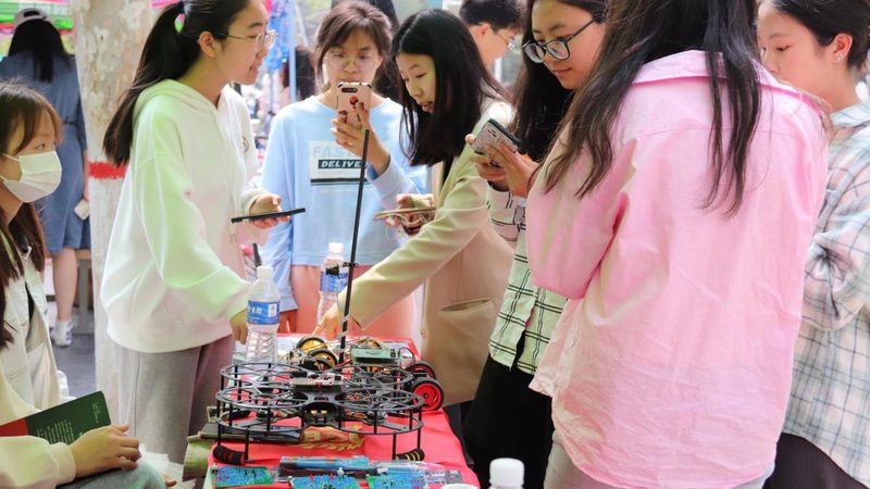 数据可视化：从图表到决策利器